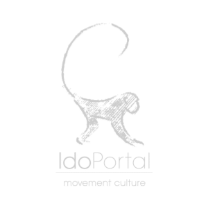 Ido Portal